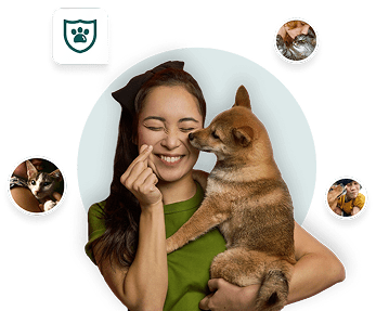 sm pet ins hero image