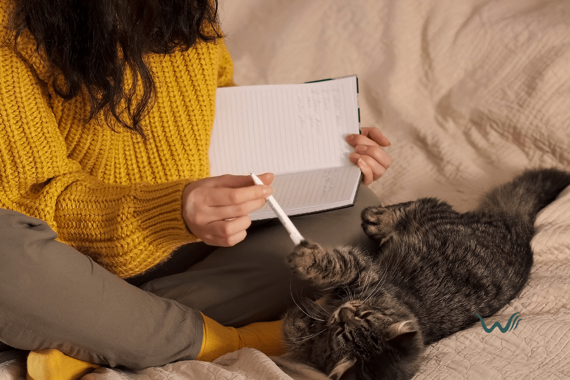 spotting fake esa letters your guide to legal documentation