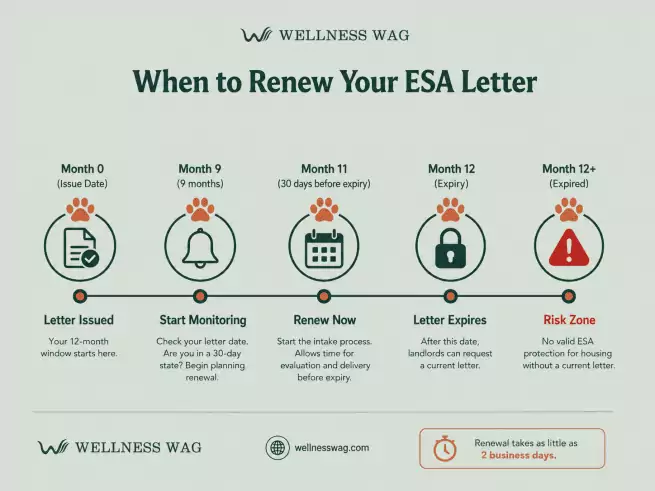 step by step guide to esa letter renewal