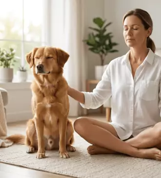 the calming effects of meditation for dogs