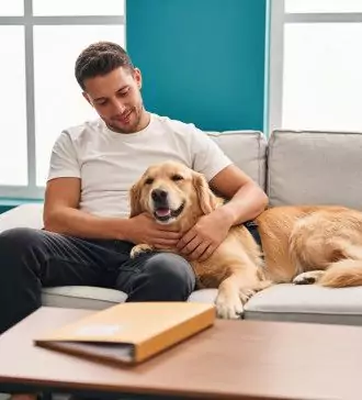 the importance of emotional support animal certification