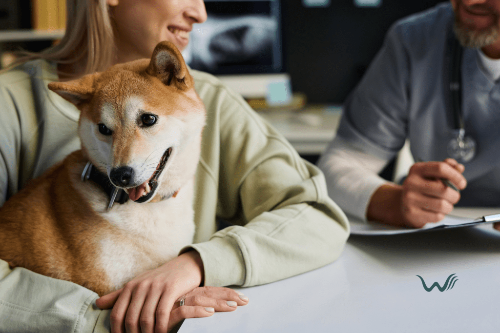 the truth about esa registration services legal facts vs. common myths