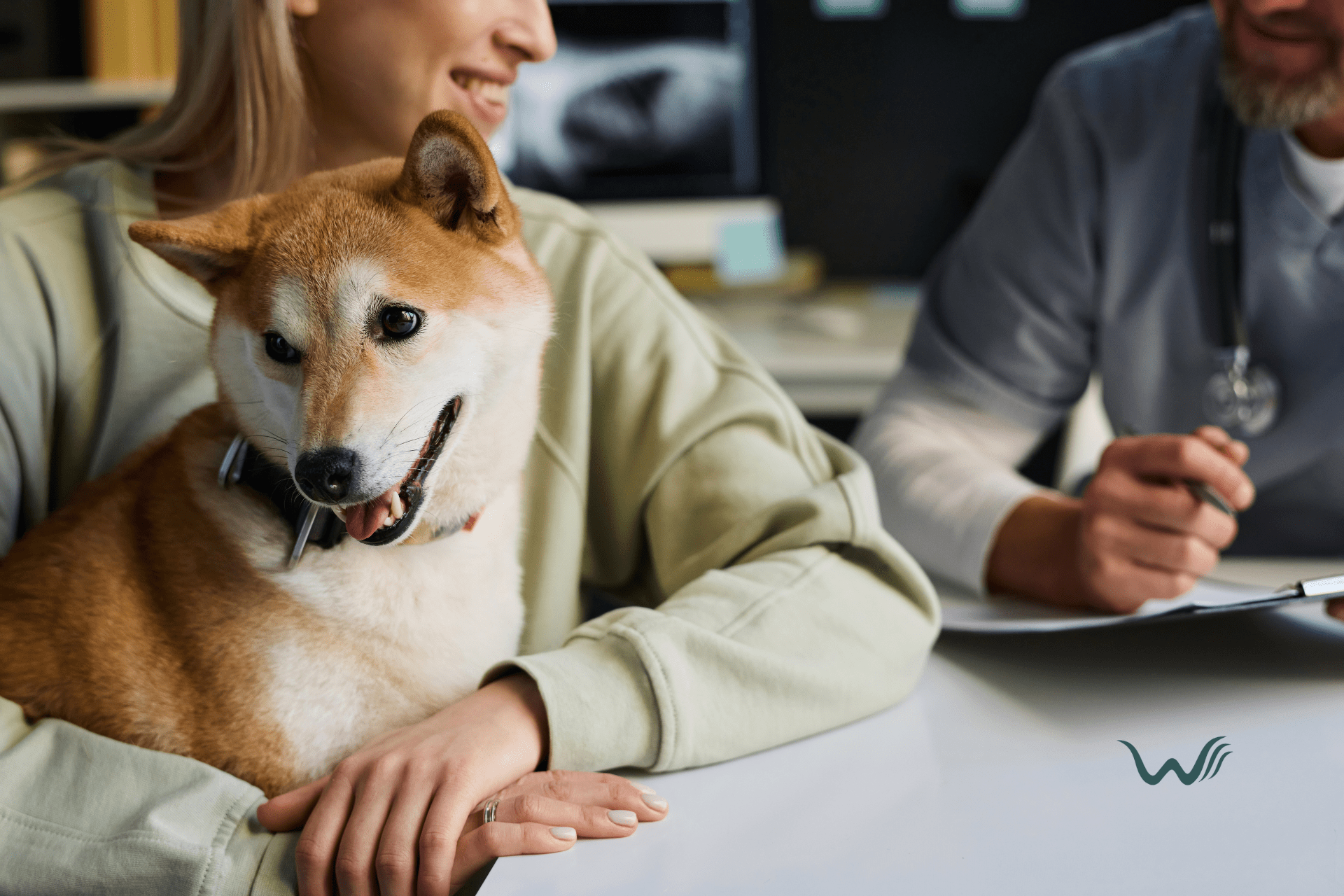 the truth about esa registration services legal facts vs. common myths