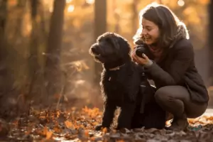 training with treats