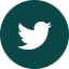 twitter icon