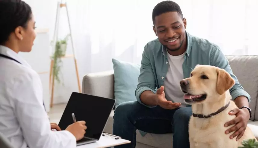 understanding the certification process for emotional support animals
