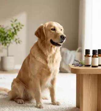 using essential oils as natural remedies for dogs