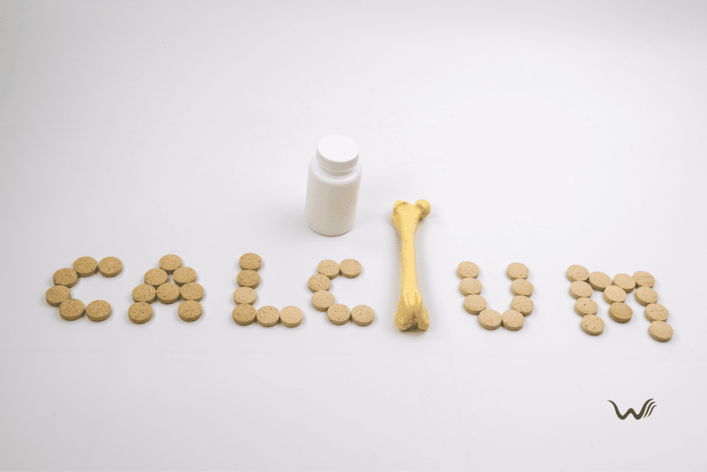 Best Calcium Foods for Dogs Keep Their Bones Strong!