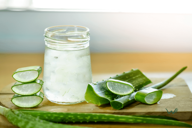 what are the uses of aloe vera for pets