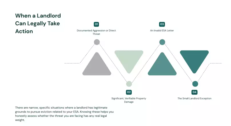 what to do if your landlord threatens eviction over your esa letter