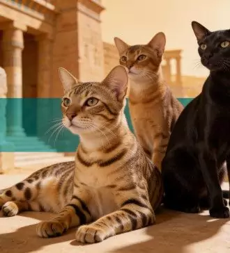 what were the earliest cat breeds in history