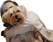 ww pet ins cta image sm