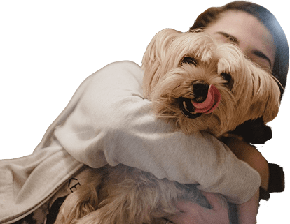 ww pet ins cta image