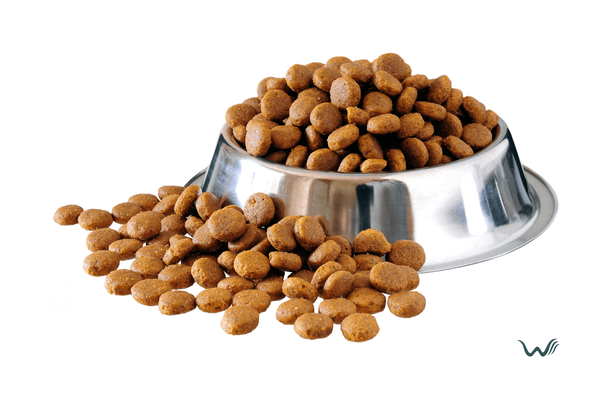 your ultimate guide to zero waste dog food